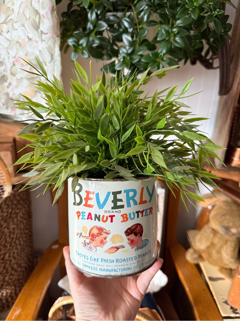 Beverly Peanut Butter Vintage Tin with plant